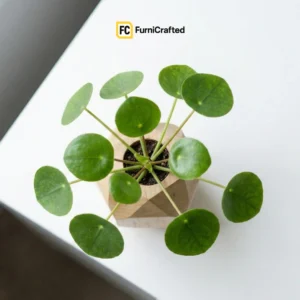 hyperfresh wooden vase plant – decorative artificial plant with wooden vase